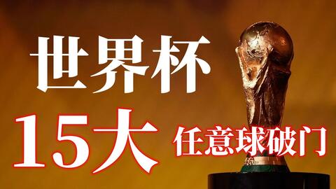 无数球迷的