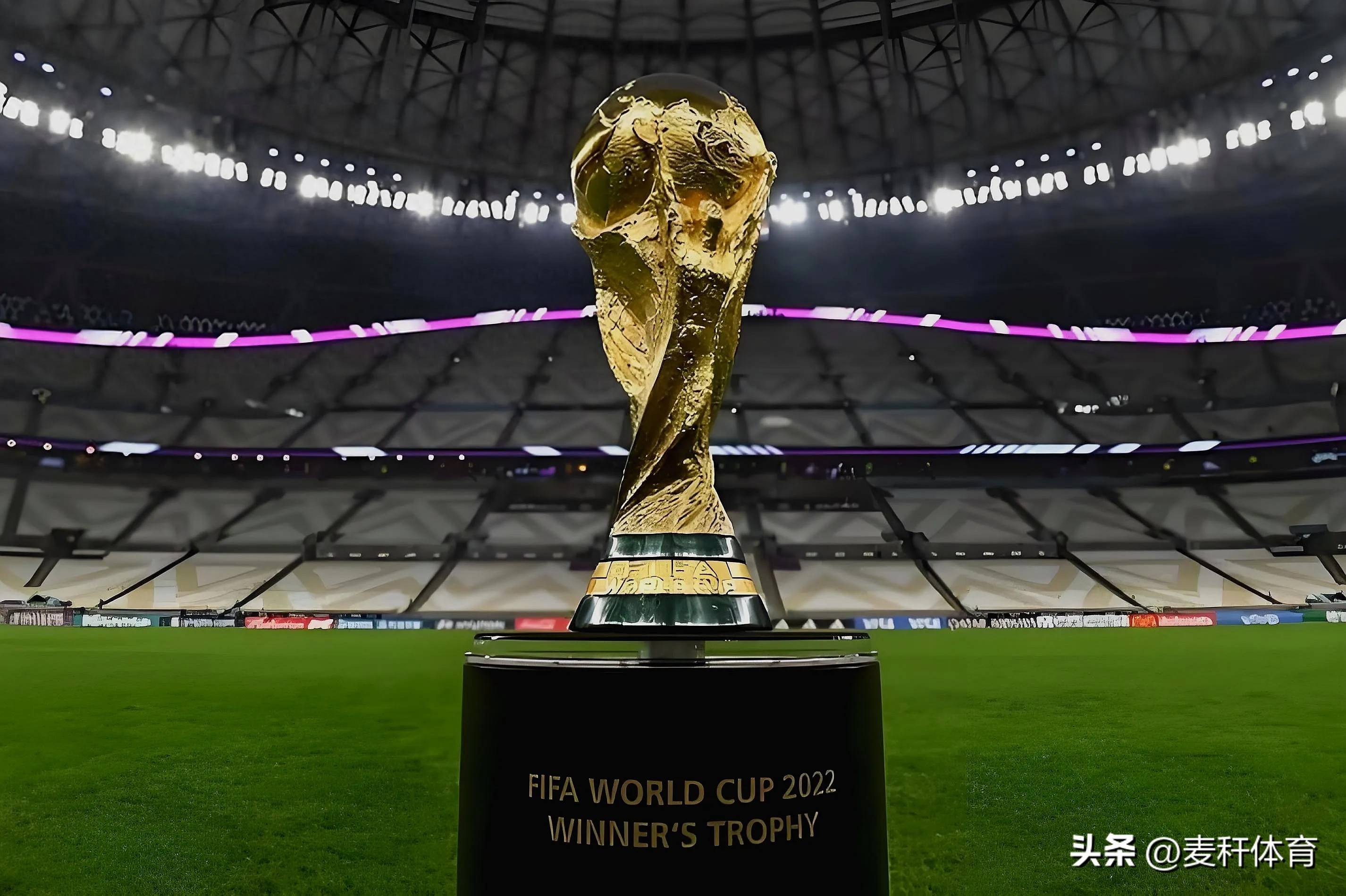 东契奇健康 东契奇健康