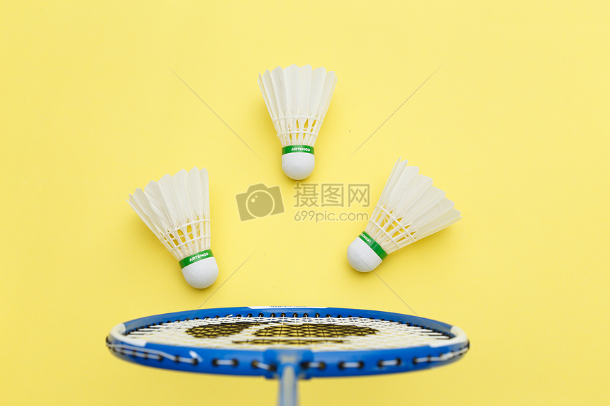 活力与竞争 活力与竞争