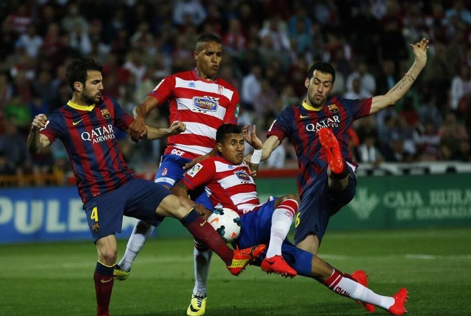 他地区提供 他地区提供