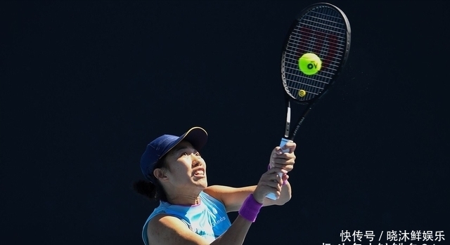 退隐者的 退隐者的