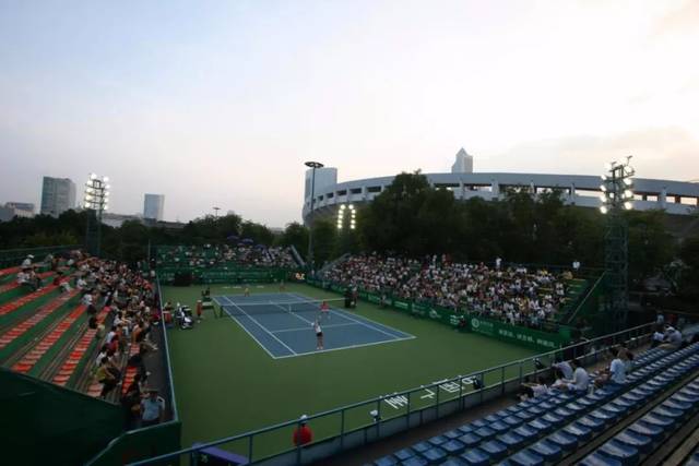 灰熊的三核 灰熊的三核